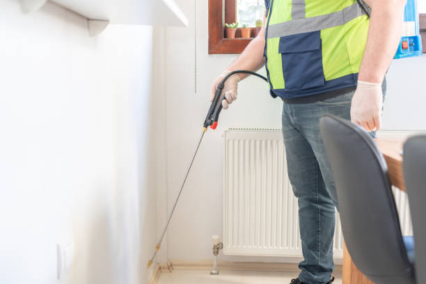 Best Best Pest Control Companies  in Taylor Lake Village, TX