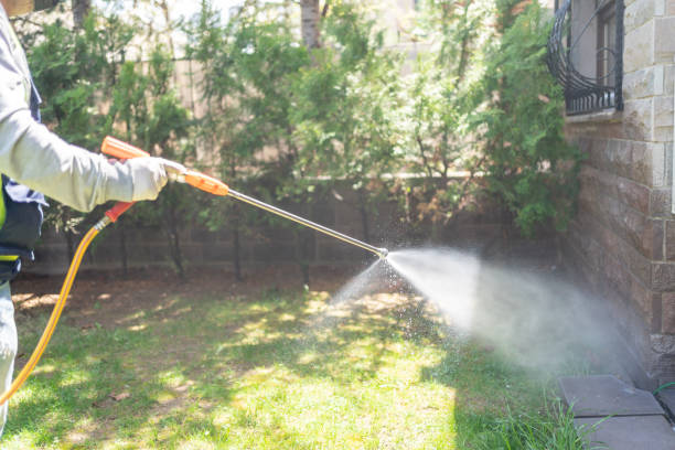 Best Termite Control Services  in Taylor Lake Village, TX