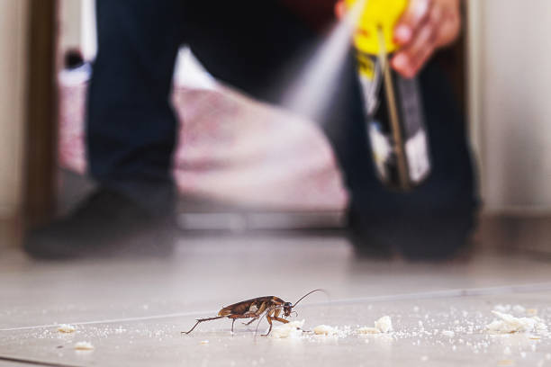 Taylor Lake Village, TX Pest Control Company